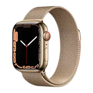 Apple Watch Series 7 41mm Stainless Steel (GPS+Cellular)